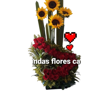 Rosas en Cali