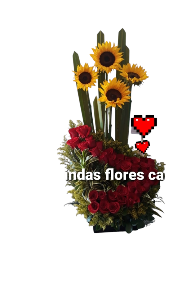 Rosas en Cali