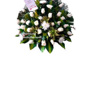 Abanico Floristería Cali
