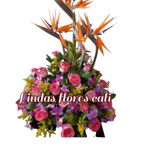 Flore en Cali Colombia