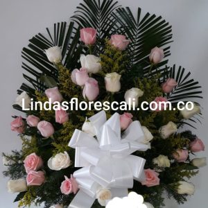 Lindas Flores Cali Abanico Funebre