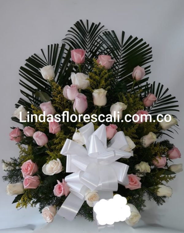 Lindas Flores Cali Abanico Funebre