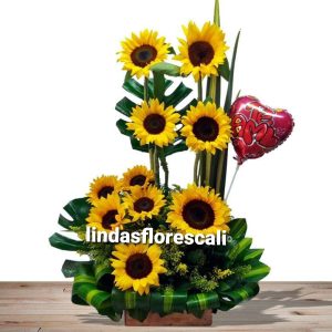 Girasoles Cali