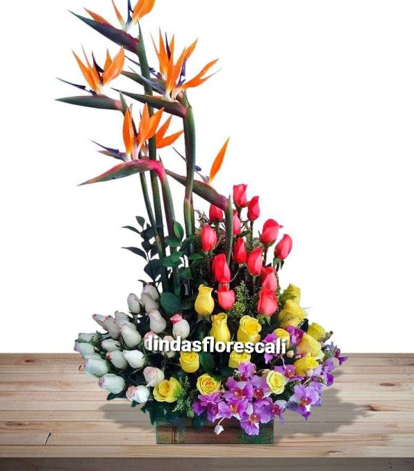 Flores en cali colombia