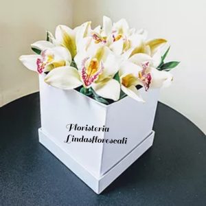 Detalle Orquídeas