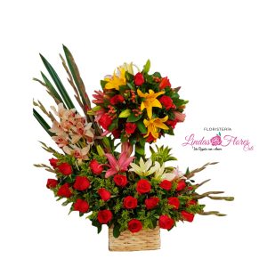 Encanto Floral Cali Colombia