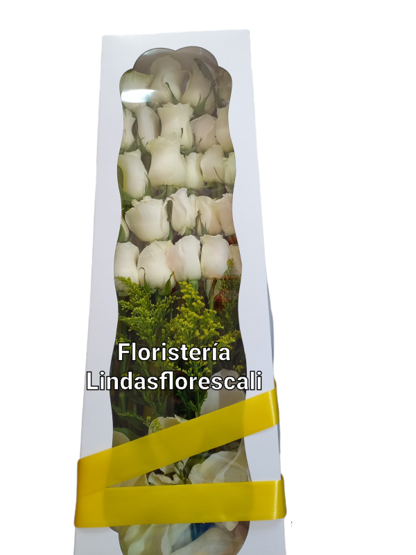 Caja De Rosas Condolencia