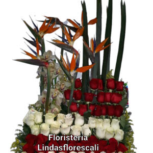 Lindas flores en Cali Colombia