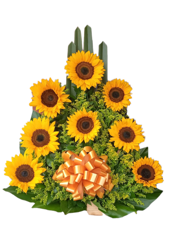 Ramo De Girasoles Hermosos 