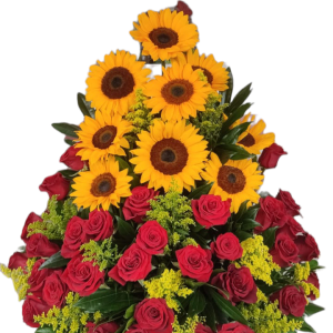 Rosas y Girasoles cali 