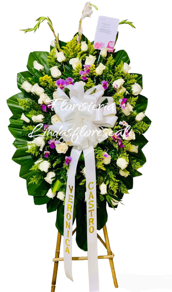 Corona Fúnebre Amigos Cali