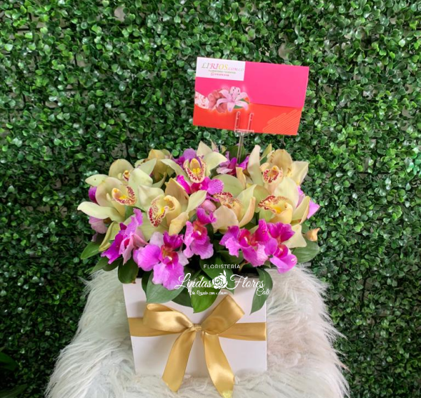 Detalle Orquídeas en cali