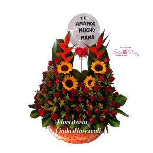 Rosas Cali