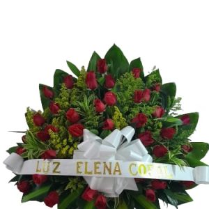 Abanico fúnebre Rosas Rojas Cali
