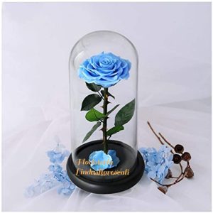 Rosa Inmortalizada- Cali