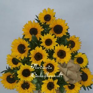 Reina De Girasoles cali amor y amistad