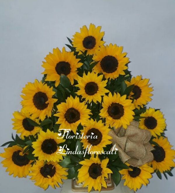 Reina De Girasoles cali amor y amistad