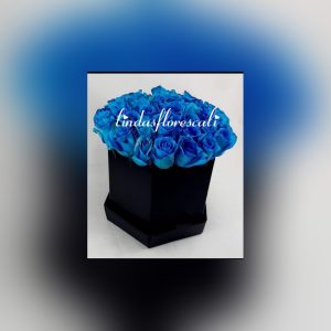 Rosas Azules Cali