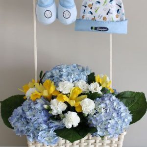 Detalle Nacimiento De Niño