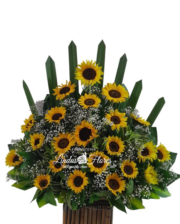 Ramo De Girasoles Floristeria en Cali